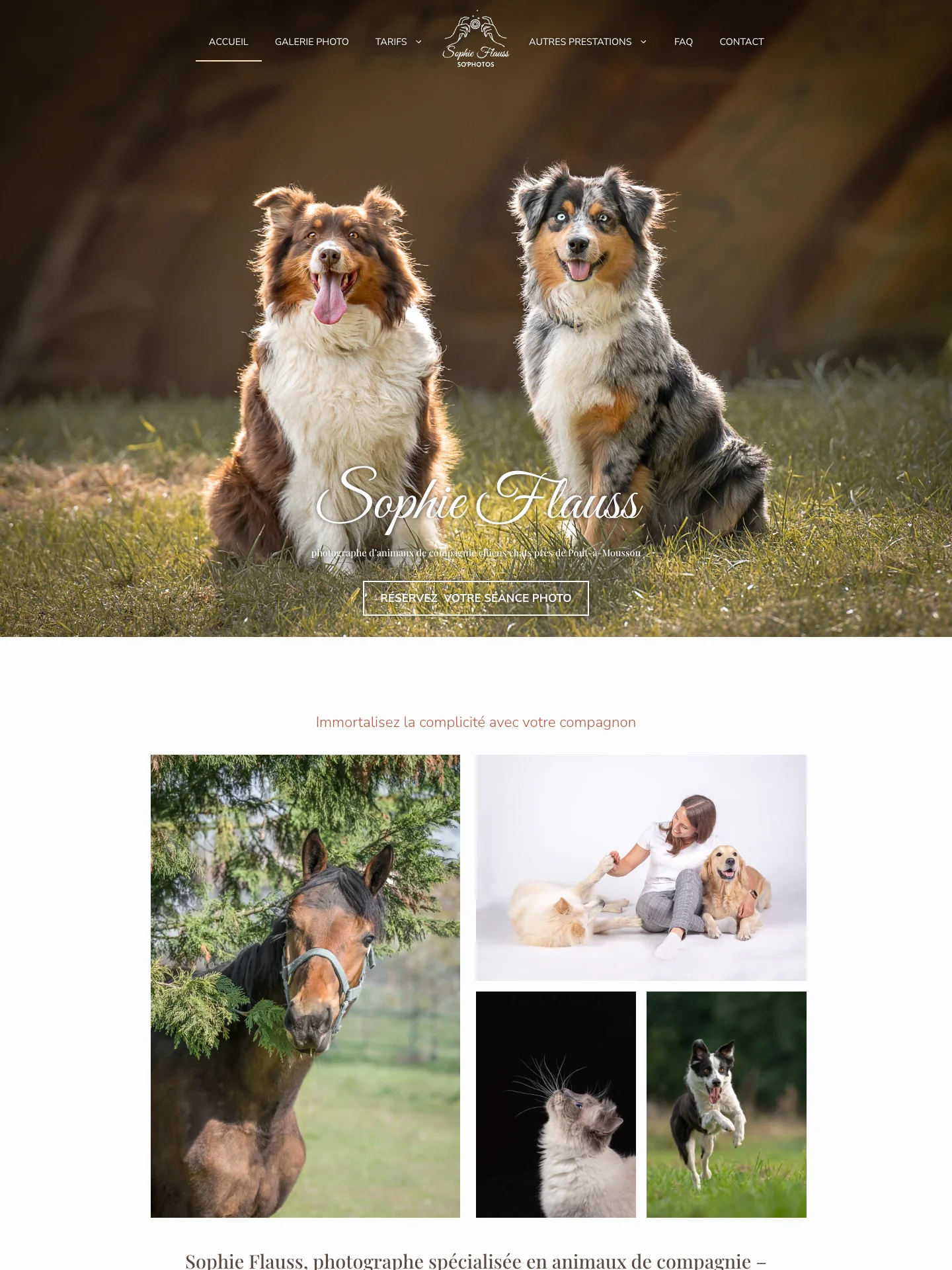 Site WordPress d'une photographe animalière affiché sur ordinateur